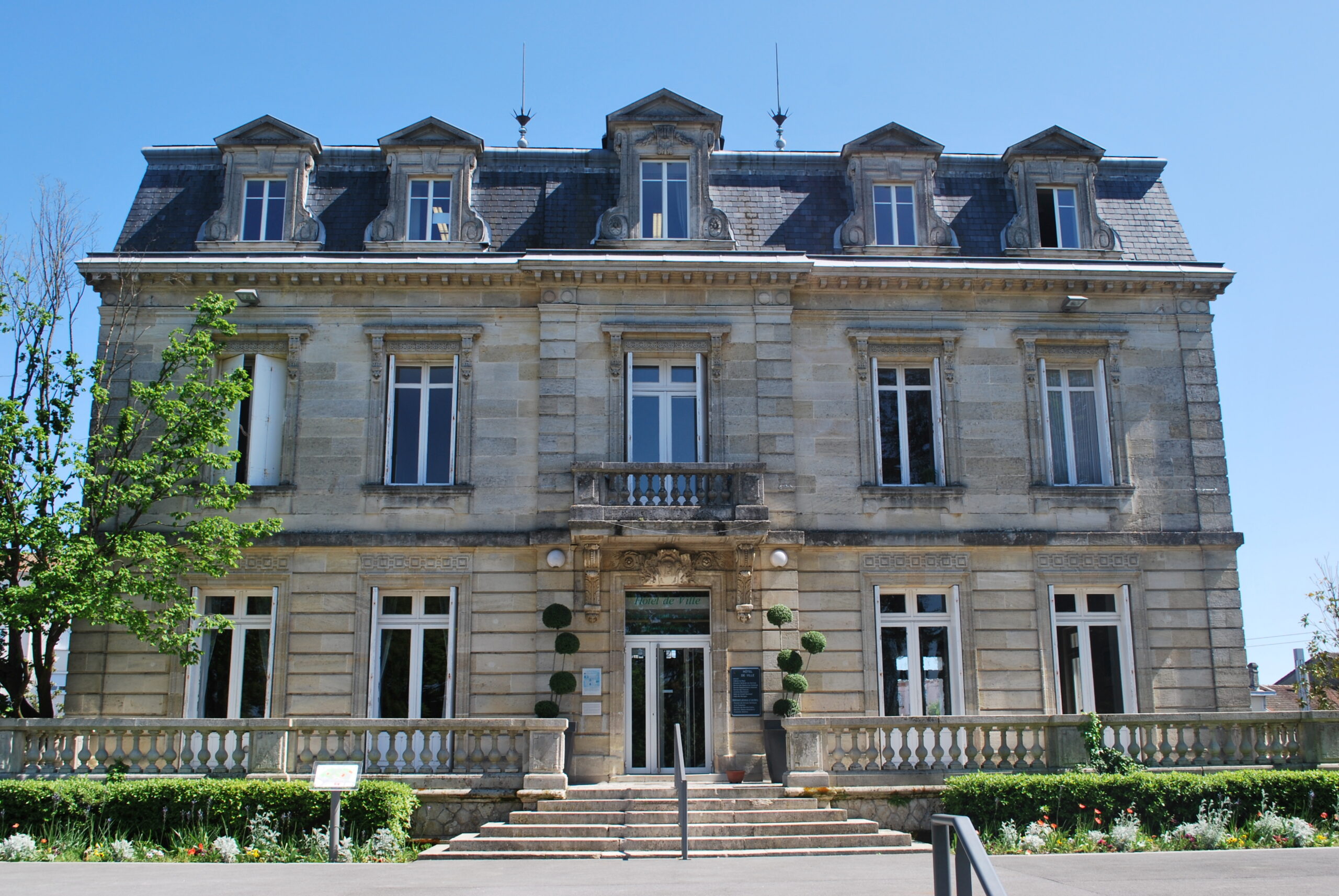 arbre mairie de lormont