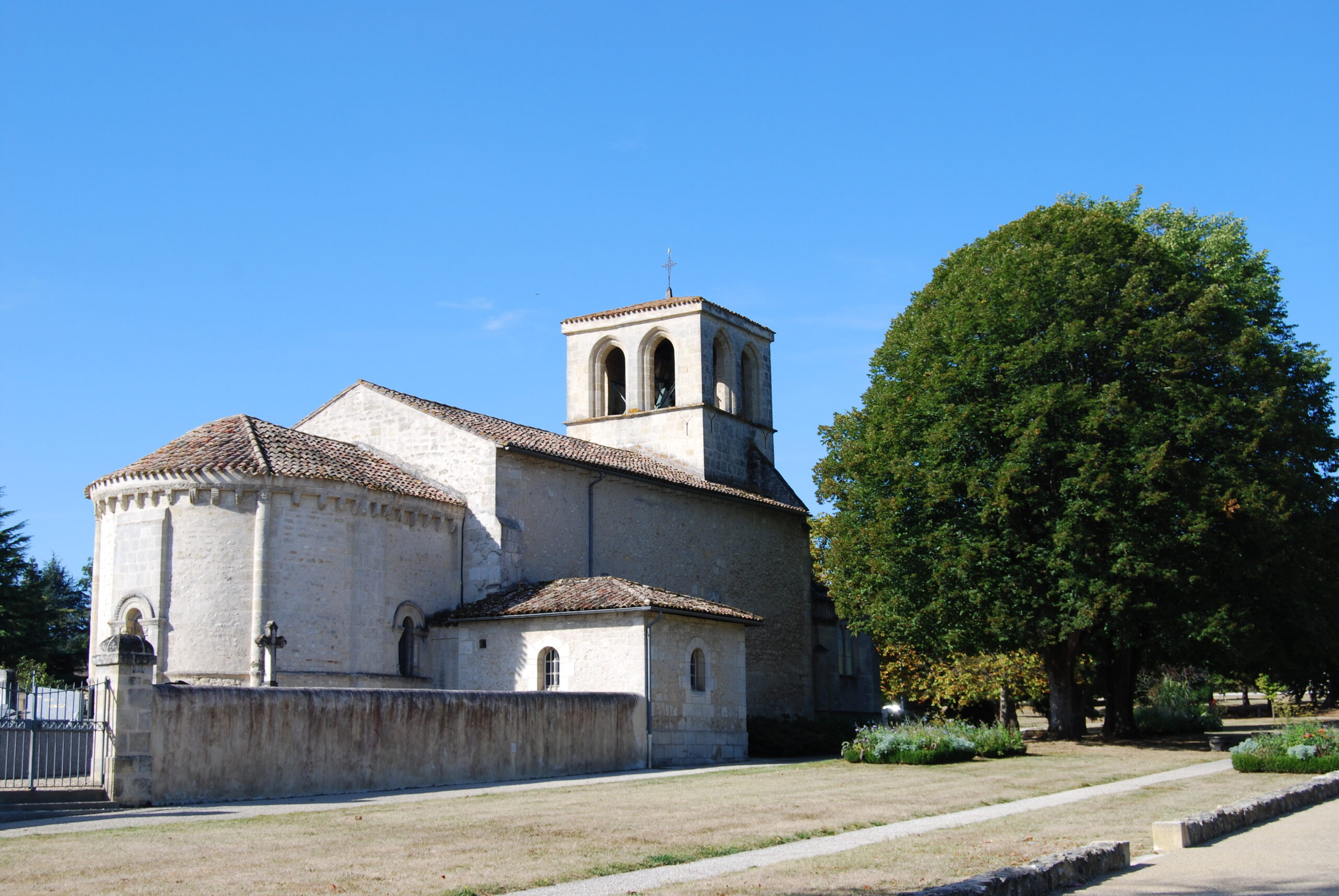 élagage à Artigues-près-Bordeaux